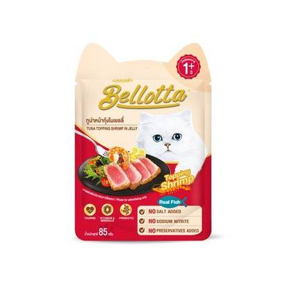 Wet cat food pouch