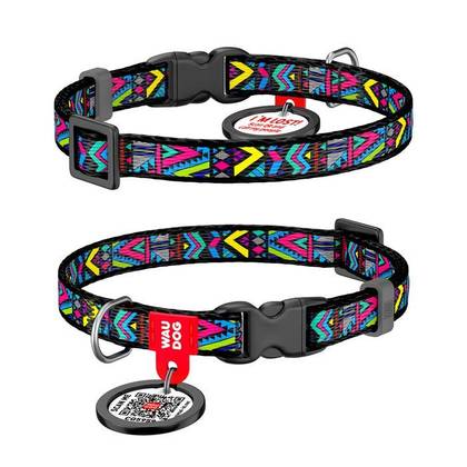 Nylon dog collar with WAUDOG Nylon QR passport