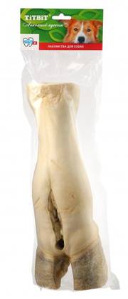cattle leg