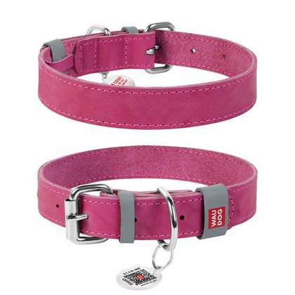 Leather dog collar WAUDOG Classic