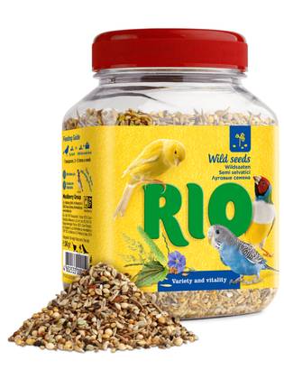 RIO meadow grass seeds