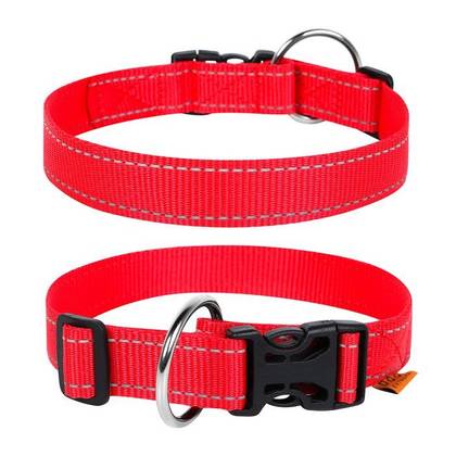 Collar "Dog Extreme" nylon adjustable