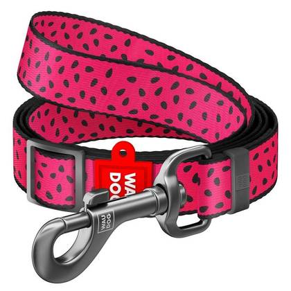 Dog sable from nylon WAUDOG Nylon
