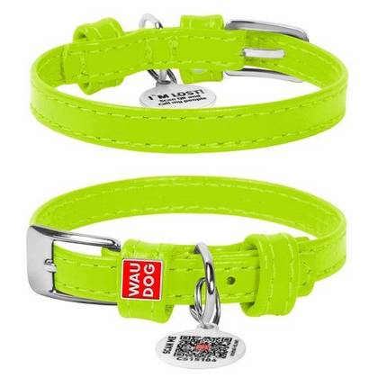 Leather dog collar WAUDOG Glamor with QR passport