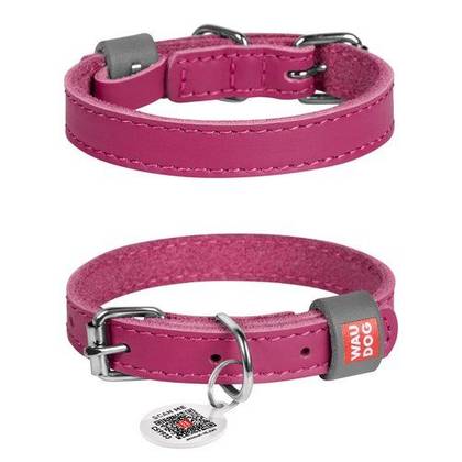 Leather dog collar WAUDOG Classic