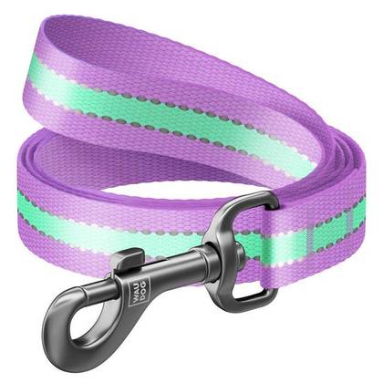 WAUDOG Nylon reflective/luminous dog sable