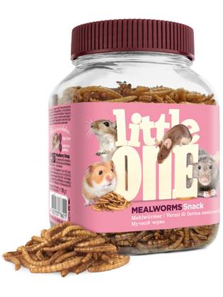 Little One is a mealworm