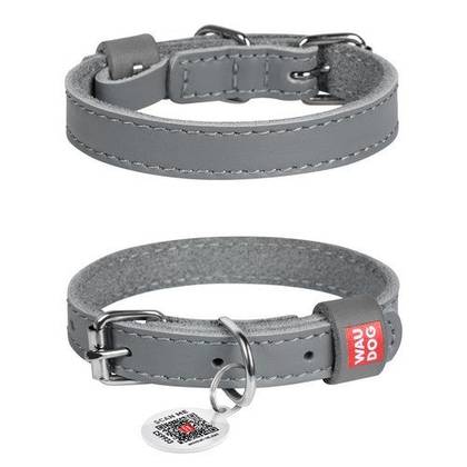 Leather dog collar WAUDOG Classic