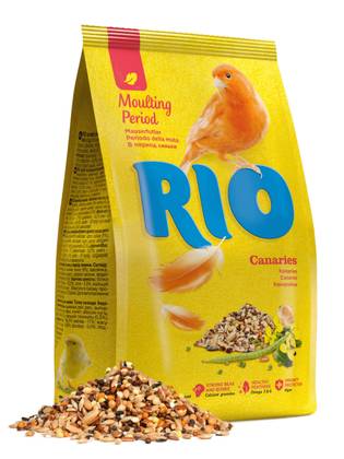RIO Food for Yadons
