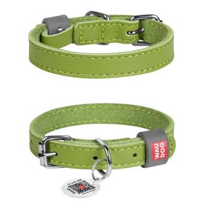 Leather dog collar WAUDOG Classic