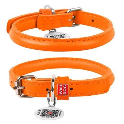 Leather dog collar WAUDOG Glamor with QR passport