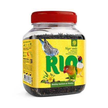 RIO Abyssinian nut