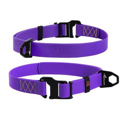 Collar EVOLUTOR, adjustable universal size