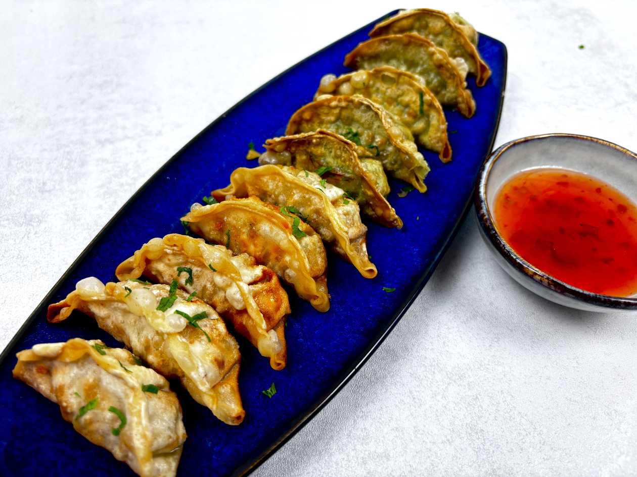 Gyoza Vegetable+Chicken 10ks
