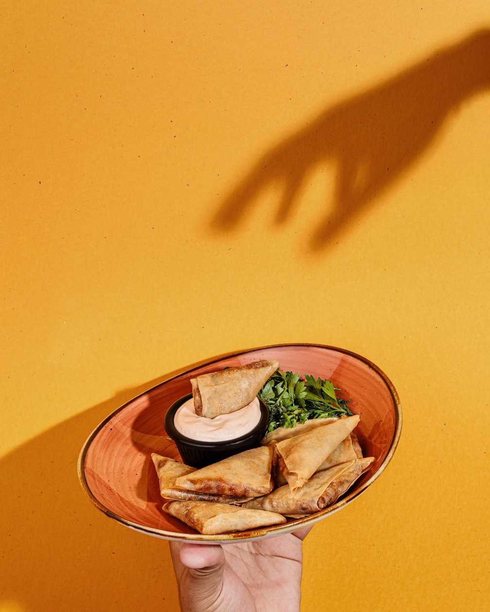 Crispy Chicken Samosas