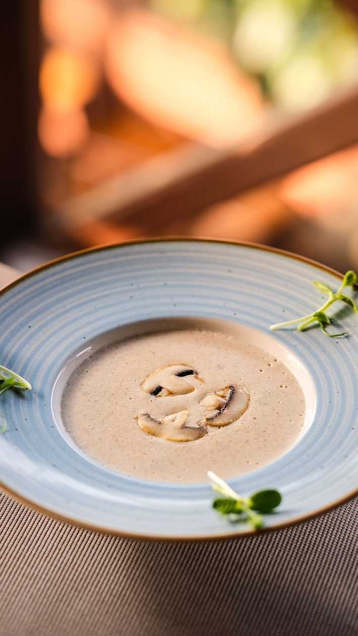 Cream of Mushroom Soup