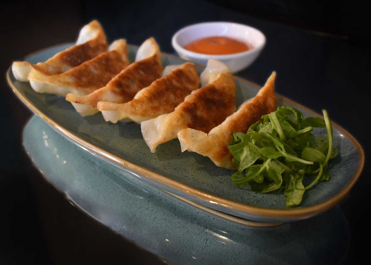 Gyoza 6-diverse sortimente (120g)