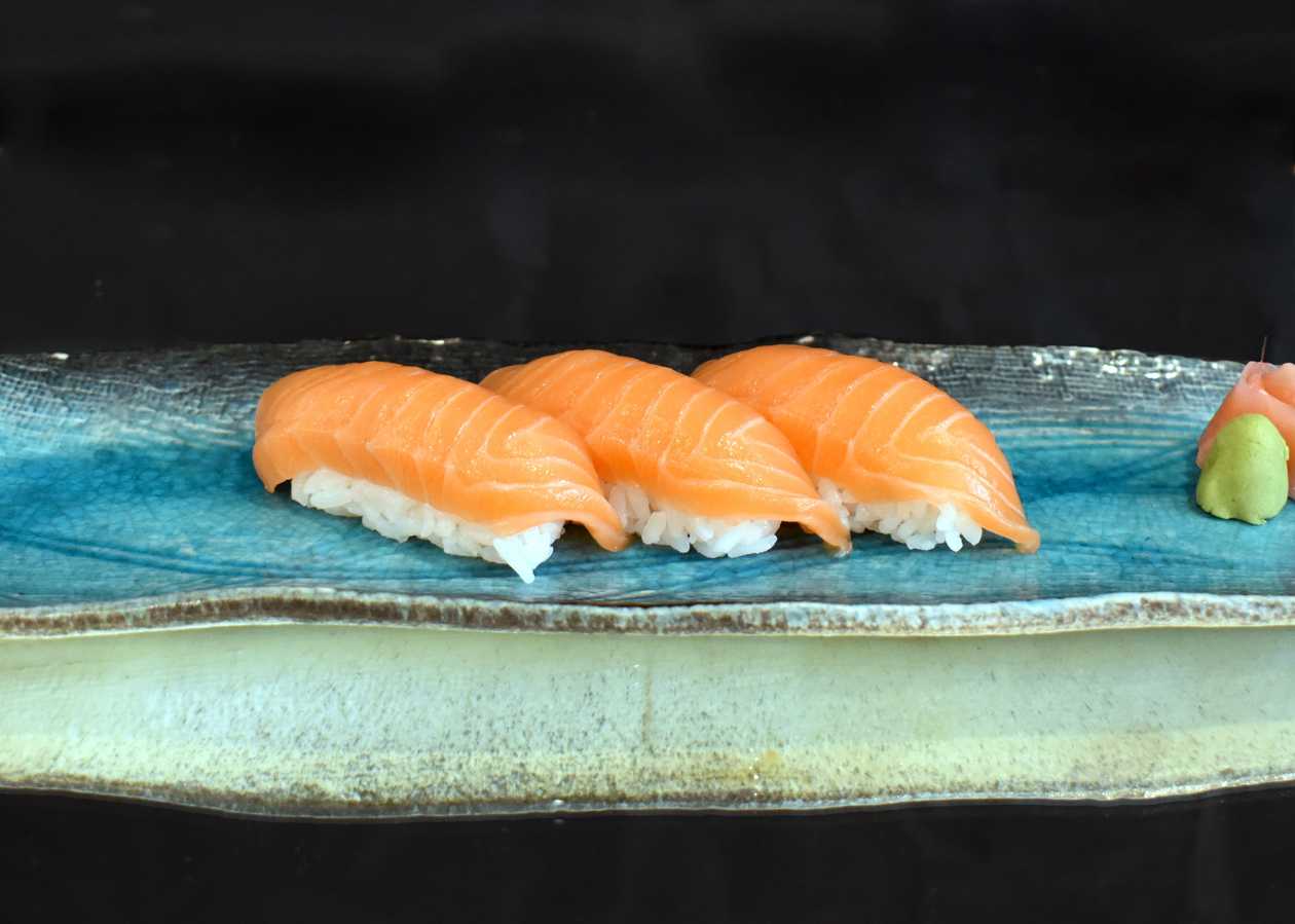Salmon 3 (84g)