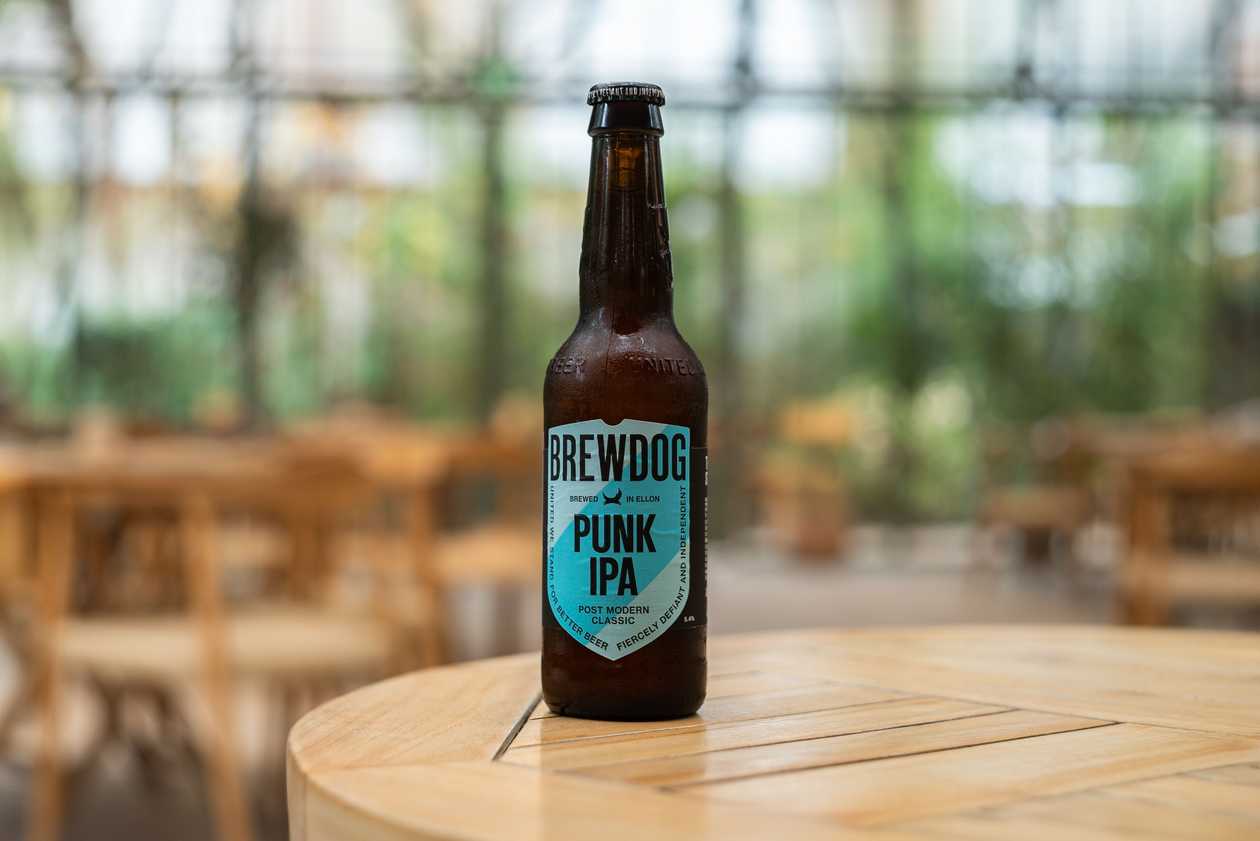 Brew dog
