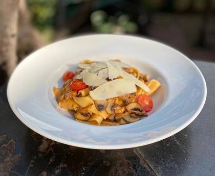 Homemade pappardelle, creamy porcini, oyster mushrooms and champignons ragu