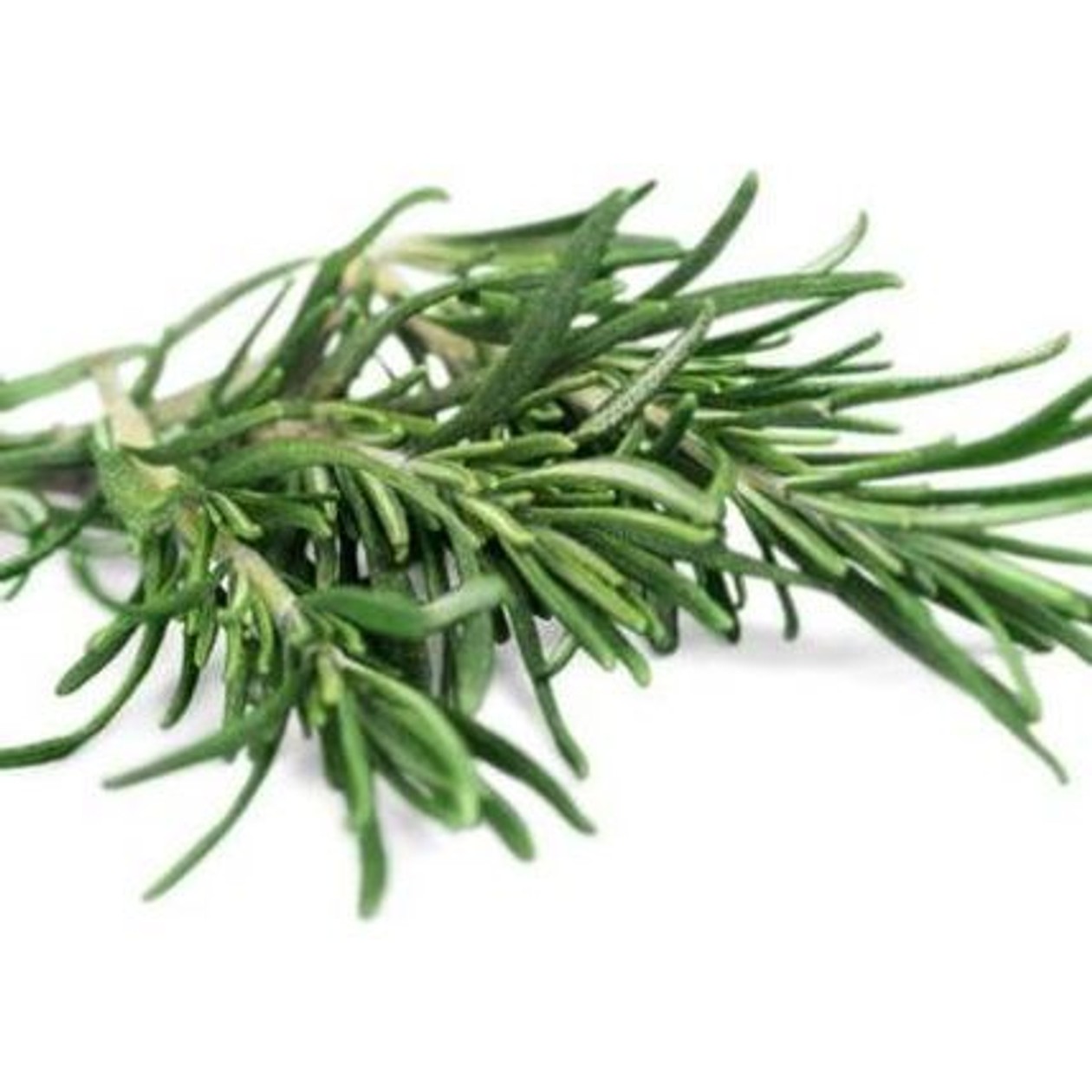Rosemary, casserole, 30 g (expires soon)