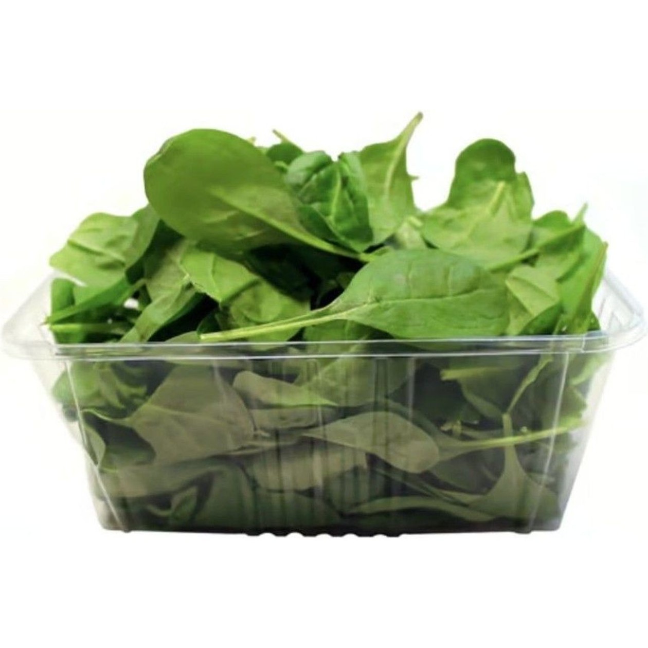 Baby Spinach, casserole, 100 g (expires soon)