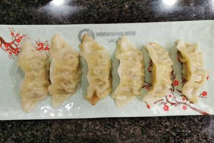 Chicken and Vegetable Gyozas (9)