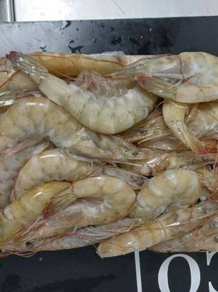 Camarão ultracongelado crú calibre King 20-30 pacote 2kilos PL