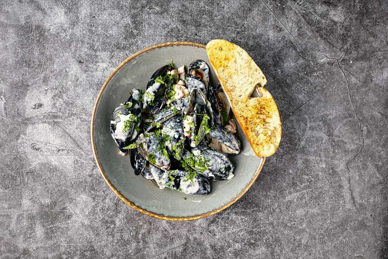 Gourmet Mussels