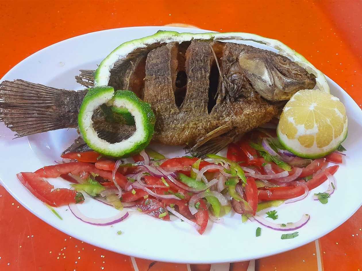 Fish