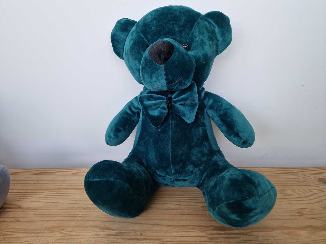 Special Teddy S2