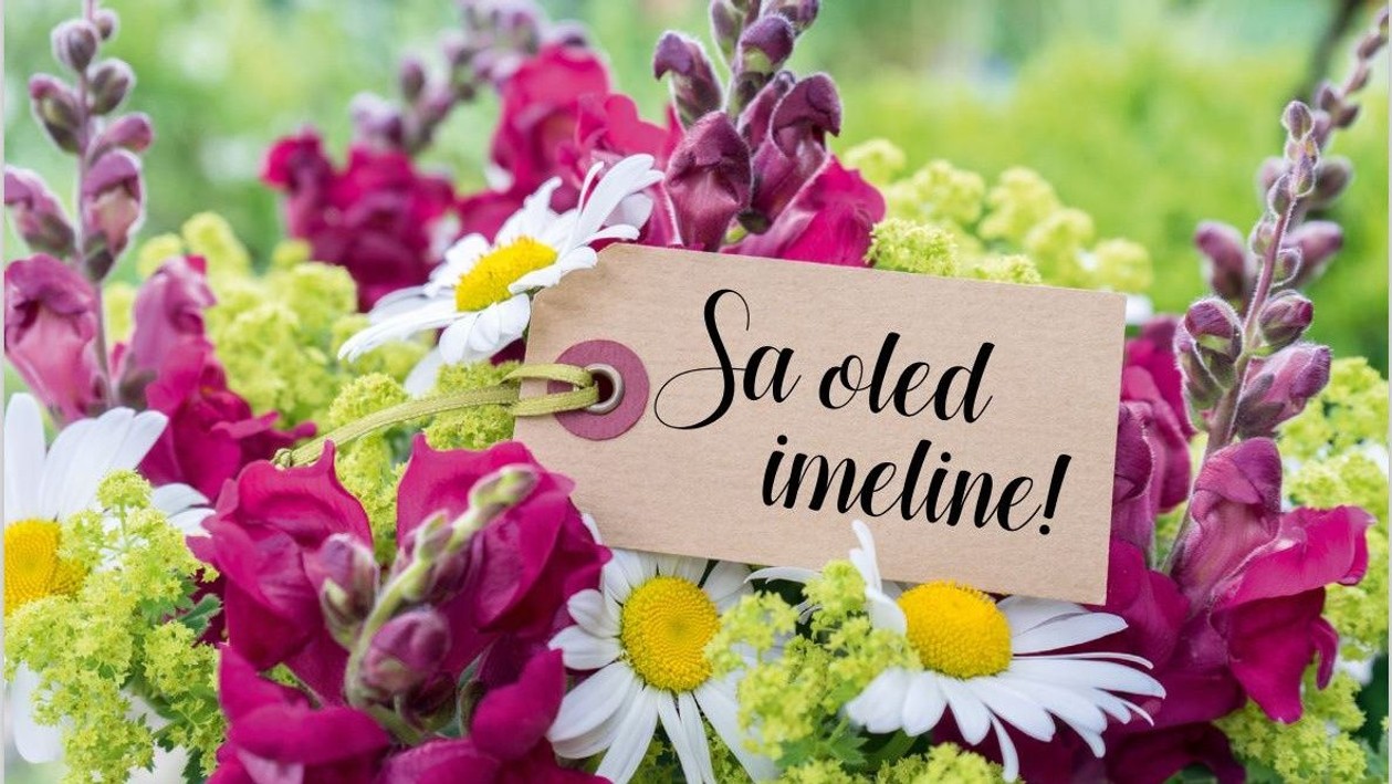 Postkaart: Sa oled imeline - lilled