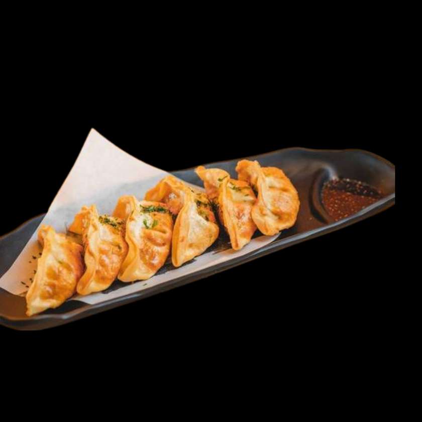 Fried Duck Dumplings (10 pieces) 30%