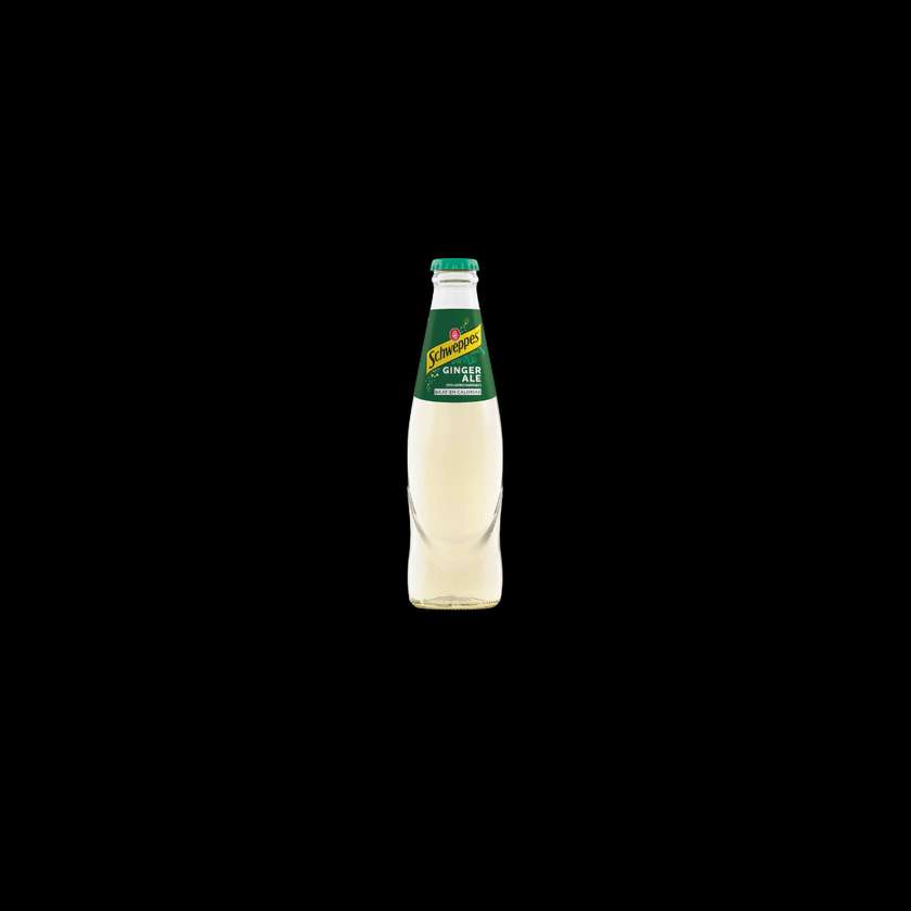Ginger Ale (250 ml)