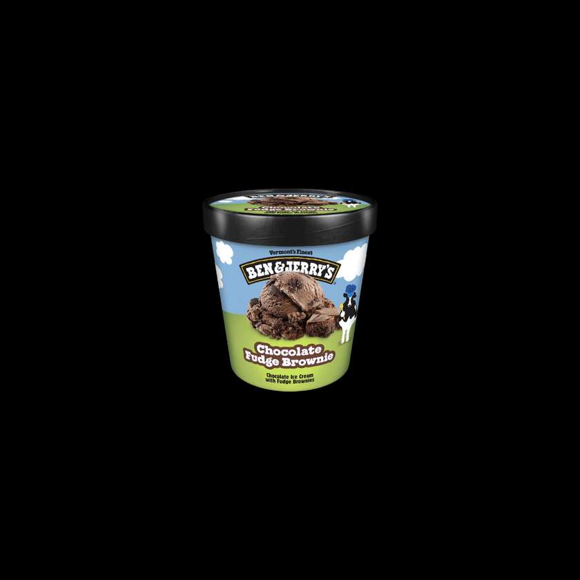Ben & Jerry's Chocolate Fudge Brownie Mini