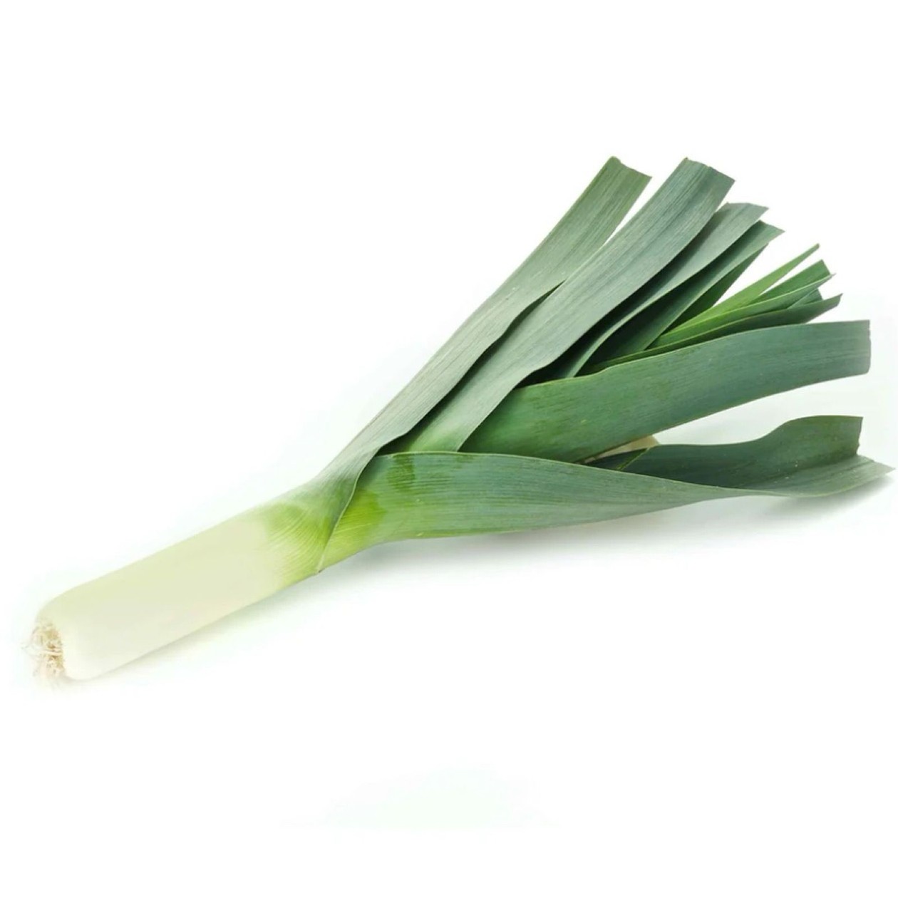 Leek, ∼0,45kg (expires soon)