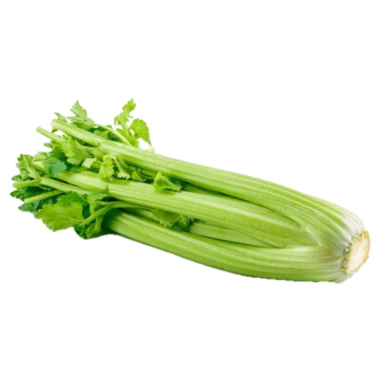 Celery, ∼0,65kg (expires soon)