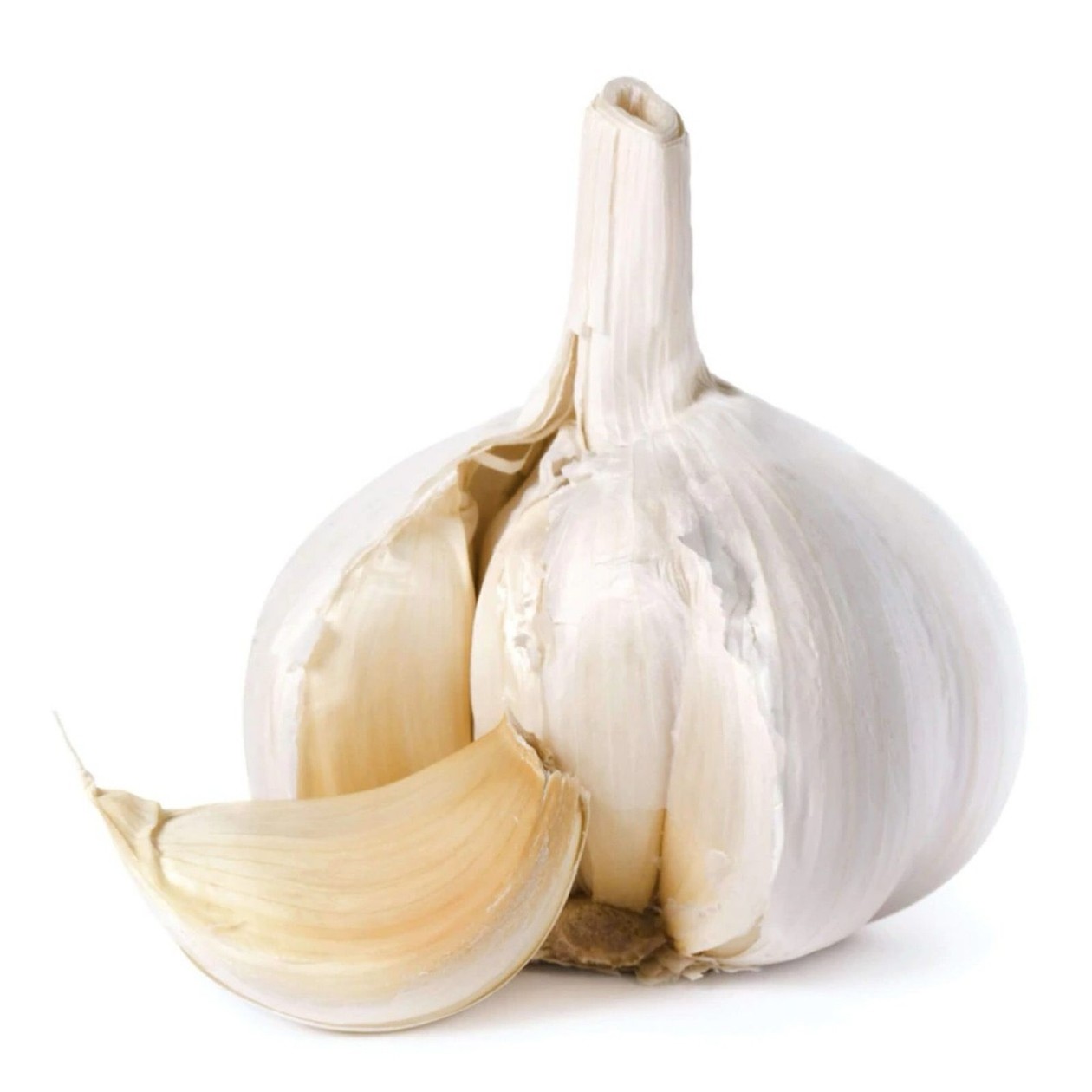 Garlic, 100g (expires soon)
