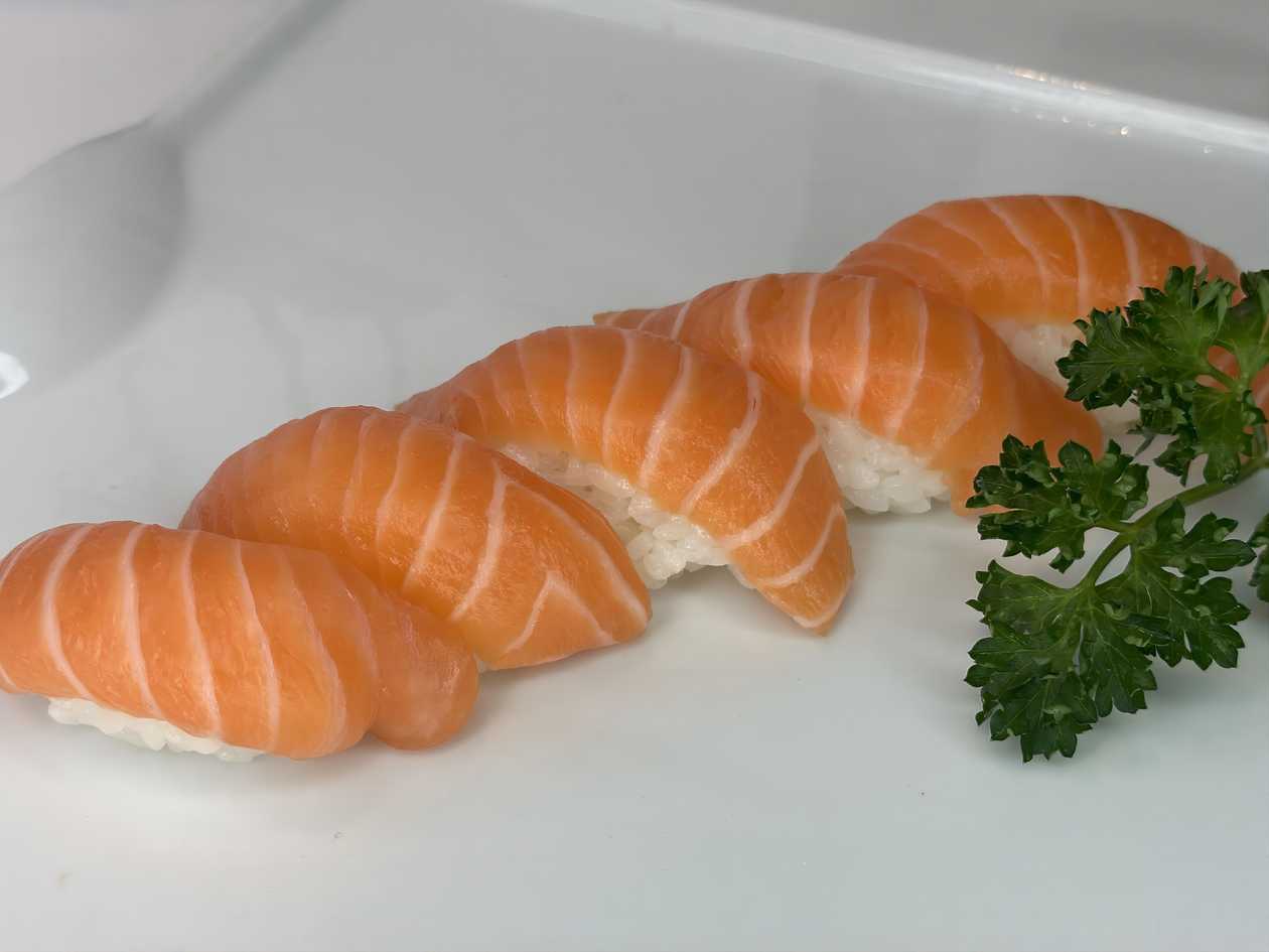 t17a-nigiri salmao