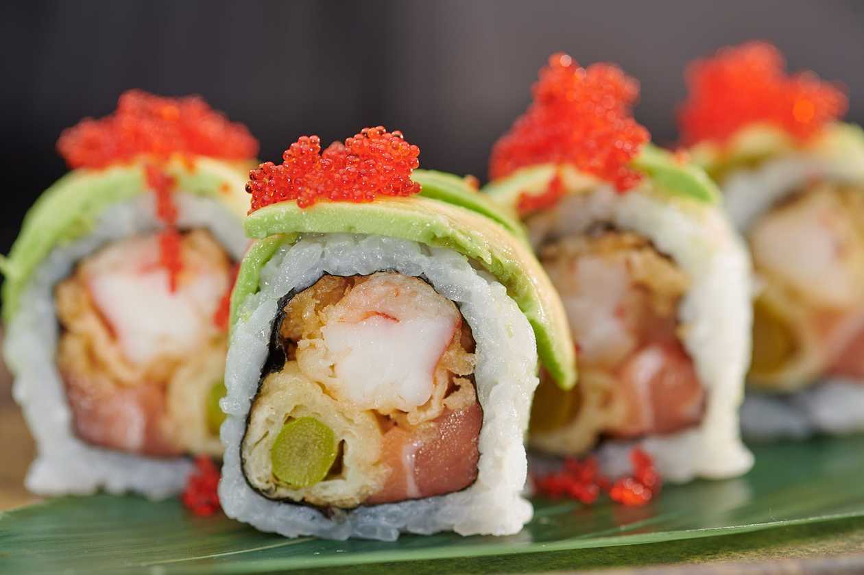 Salmon Dragon