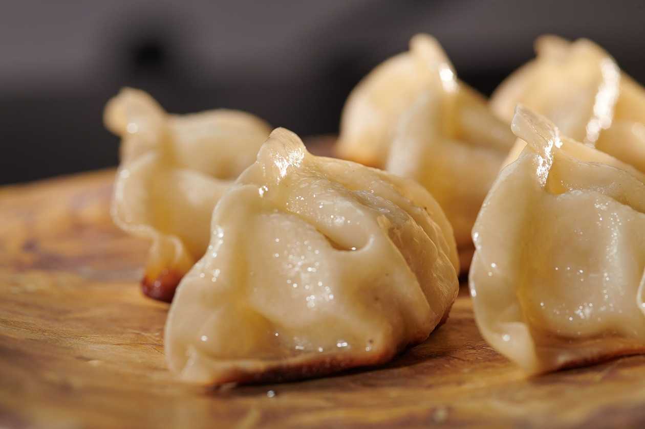 Gyoza Dumplings