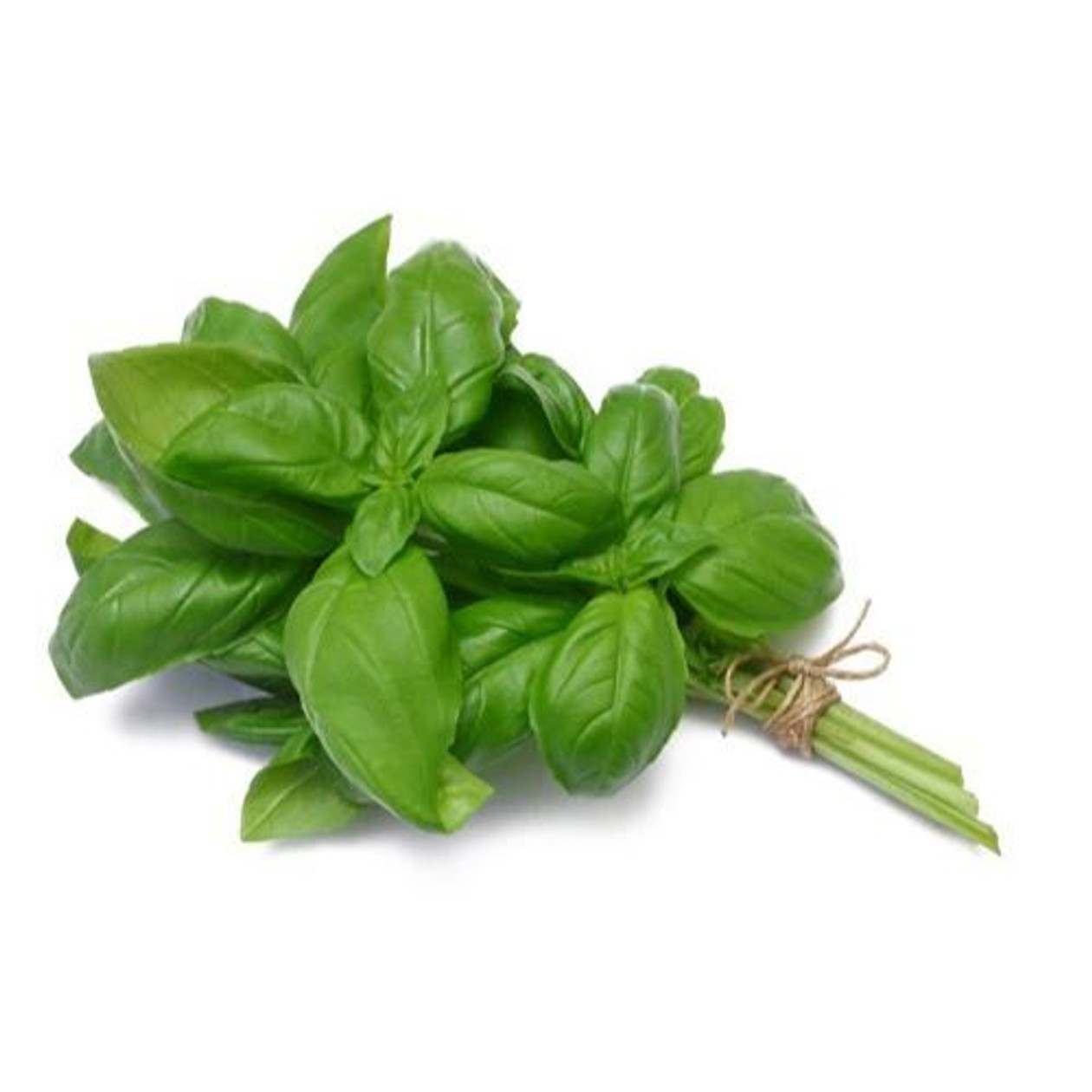 Basil packed, 1st class, Kenya, 20 g (expires soon)