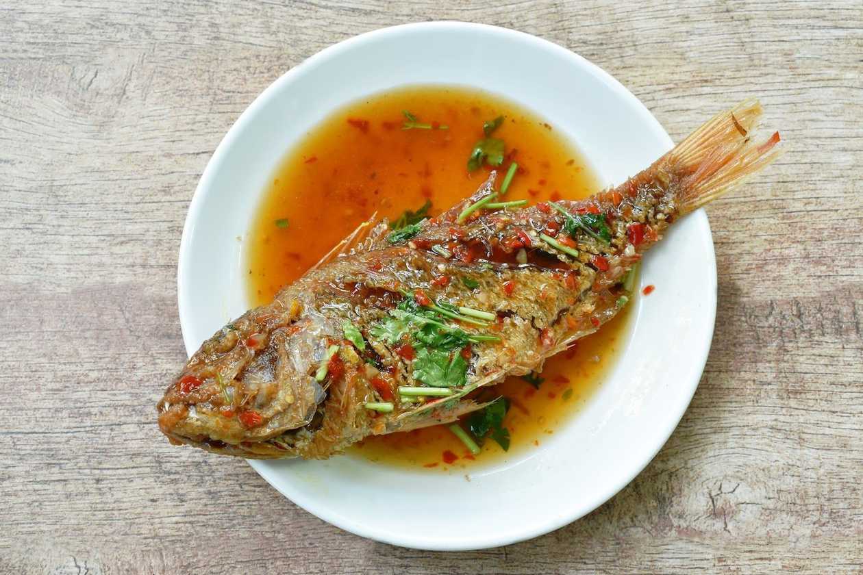 Red Snapper all Isolana