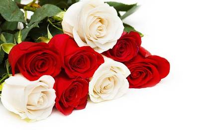 Bouquet of 5pcs red roses