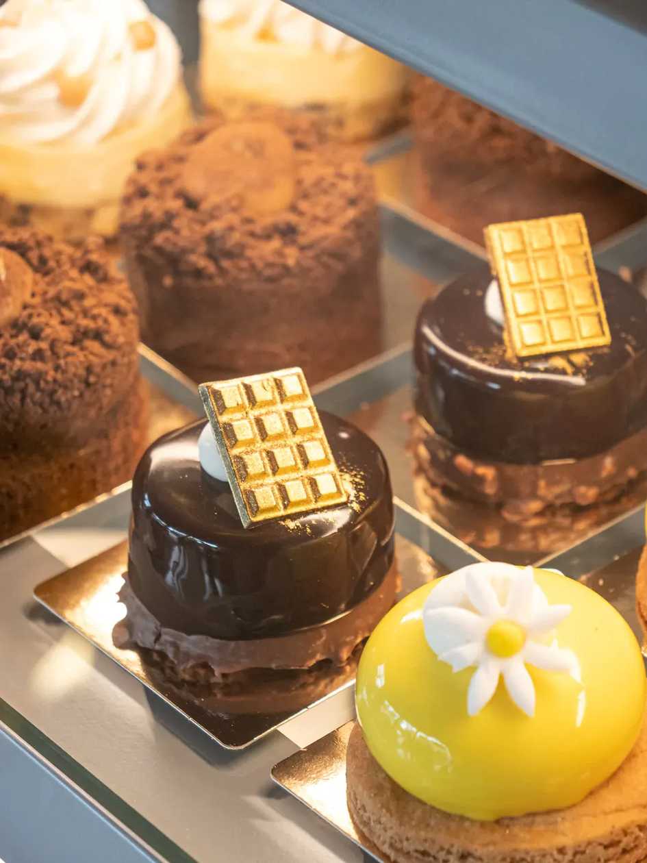 Chocolate Royal Monoportion