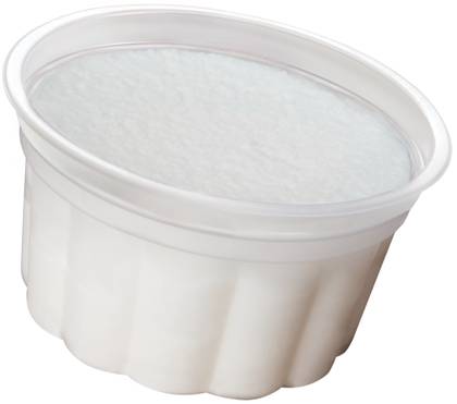 Vanilla Ice Cream