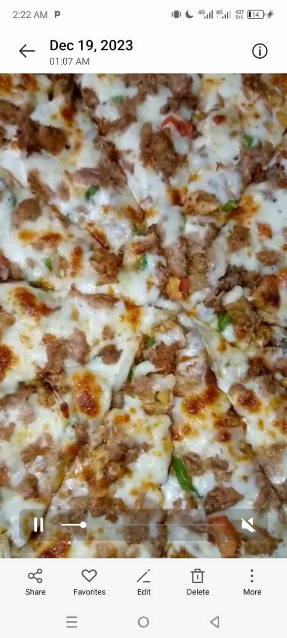 Medium Tuna & Beef Steak Pizza