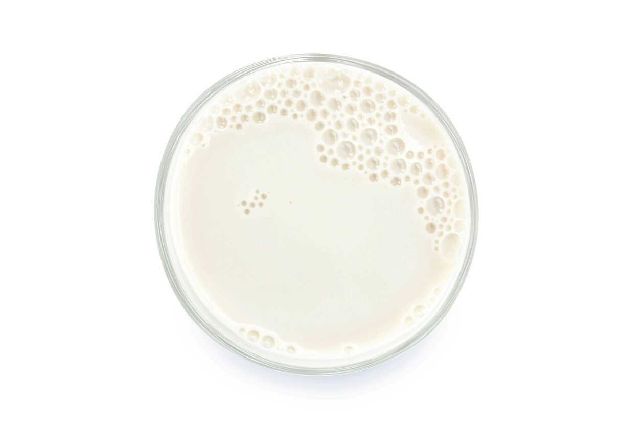 Cow Milk