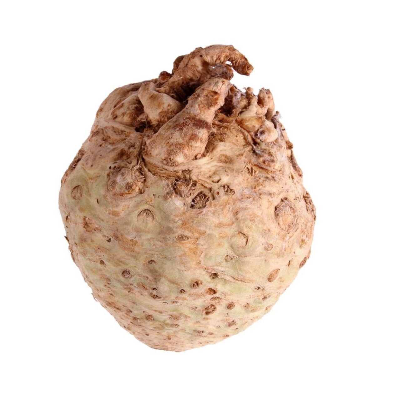 Celery Root, 1 piece (expires soon)