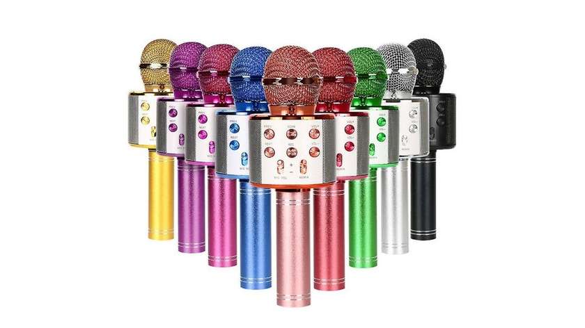 Wireless mikrofon karaoke WS-858